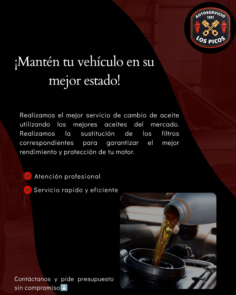 Cambio de Aceite y Filtros